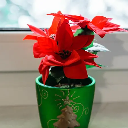 Kwatera prywatna Chałubińskiego 22c Zakopane