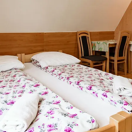 Chałubińskiego 22c Kwatera prywatna Zakopane