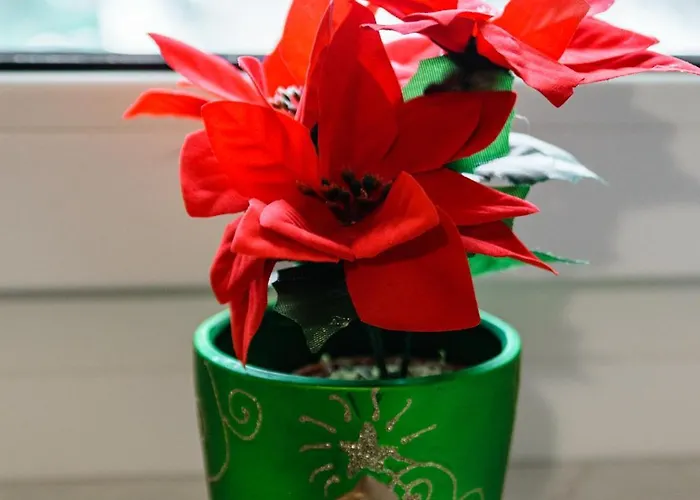 בית אירוח Banas זקופאנה