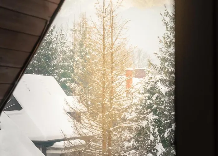 Banas זקופאנה